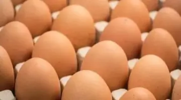 سعر طبق البيض بالقليوبية اليوم الخميس 16- 4 – 2026.. الأبيض بـ103 جنيهات